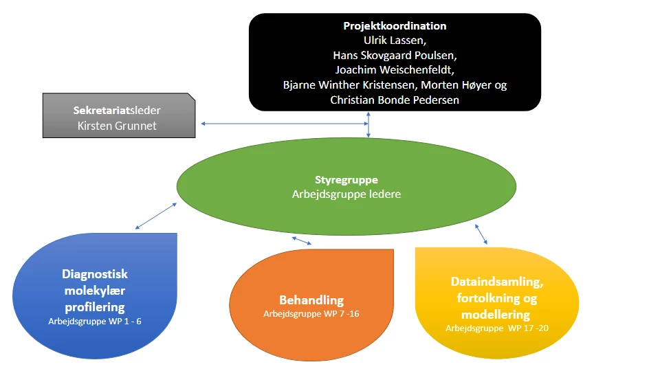 Organisationsdiagram 