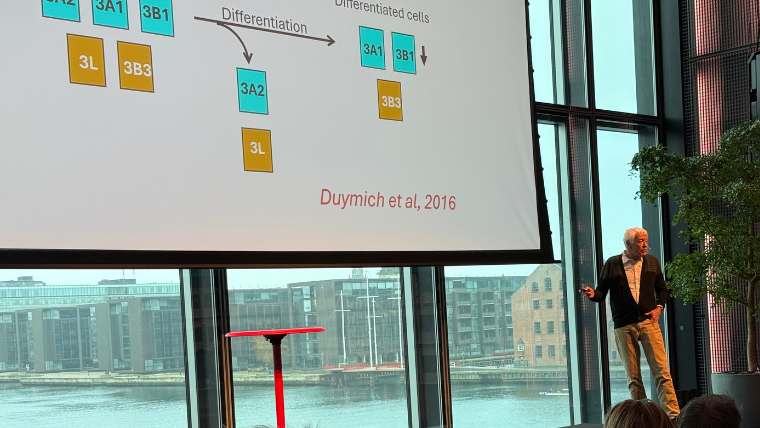 Billeder til nyheder (18).png